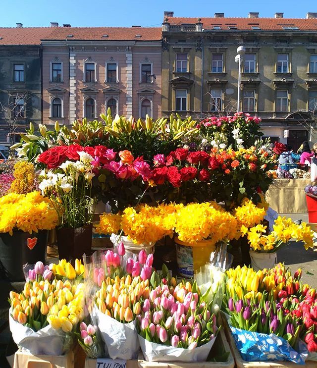 Cold and sunny Saturday morning on #britanac market 💐☀️. #sunnymorning #saturdaymorning #flowerpower #citysquare #spring #britishsquare #zagreb #zagabria #discoverzagreb #traveleurope #croatia #kroatien🇭🇷 #zagrebcityguide #iyp #zagrebinyourpocket ift.tt/2Er0TwX