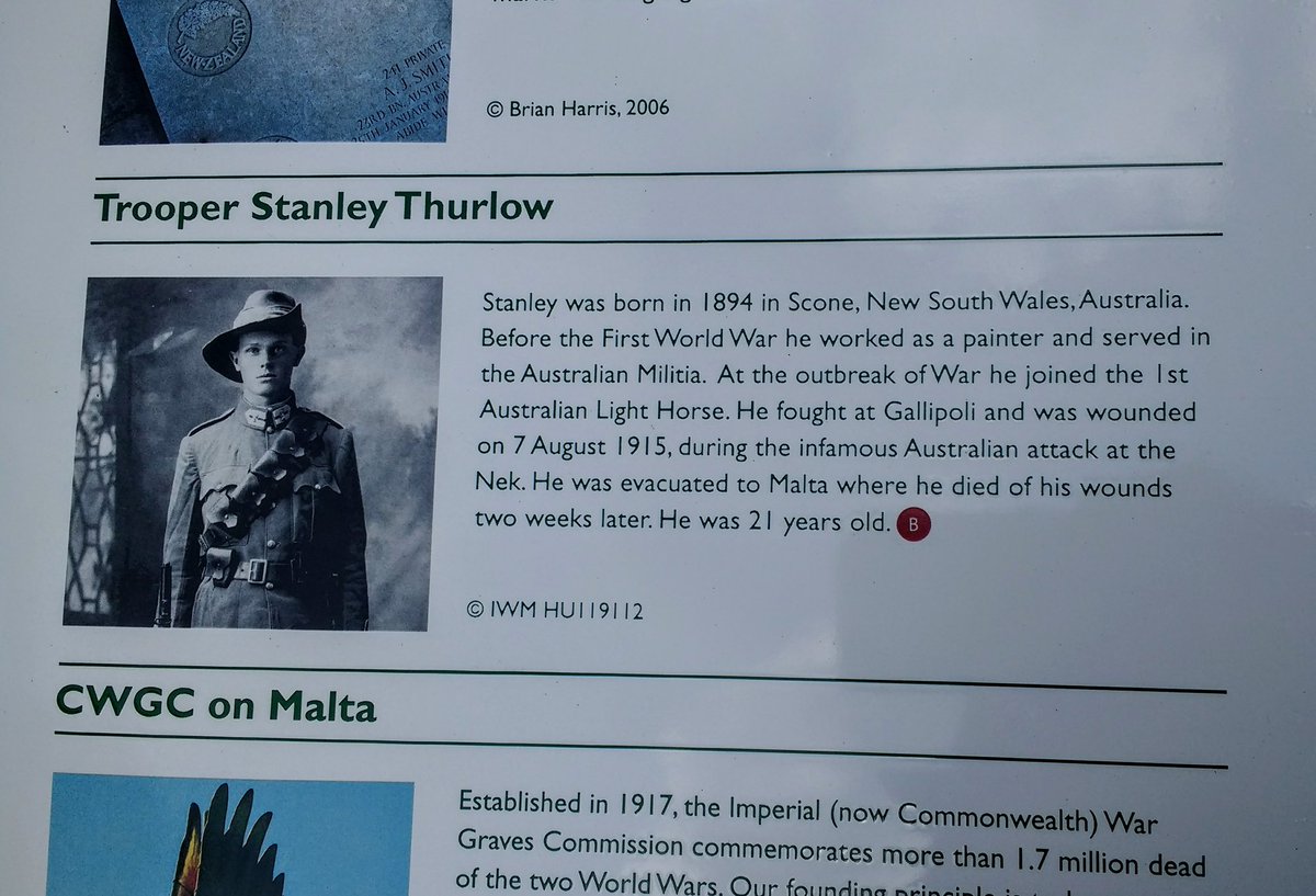 Mark Allen 🇺🇦 tweet media