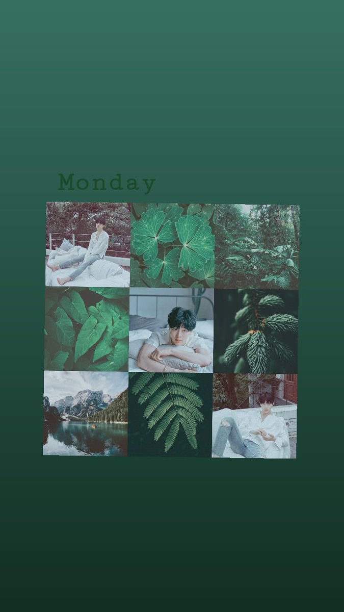 จนซ.❁✿*゚‘゚・🌻 tweet media