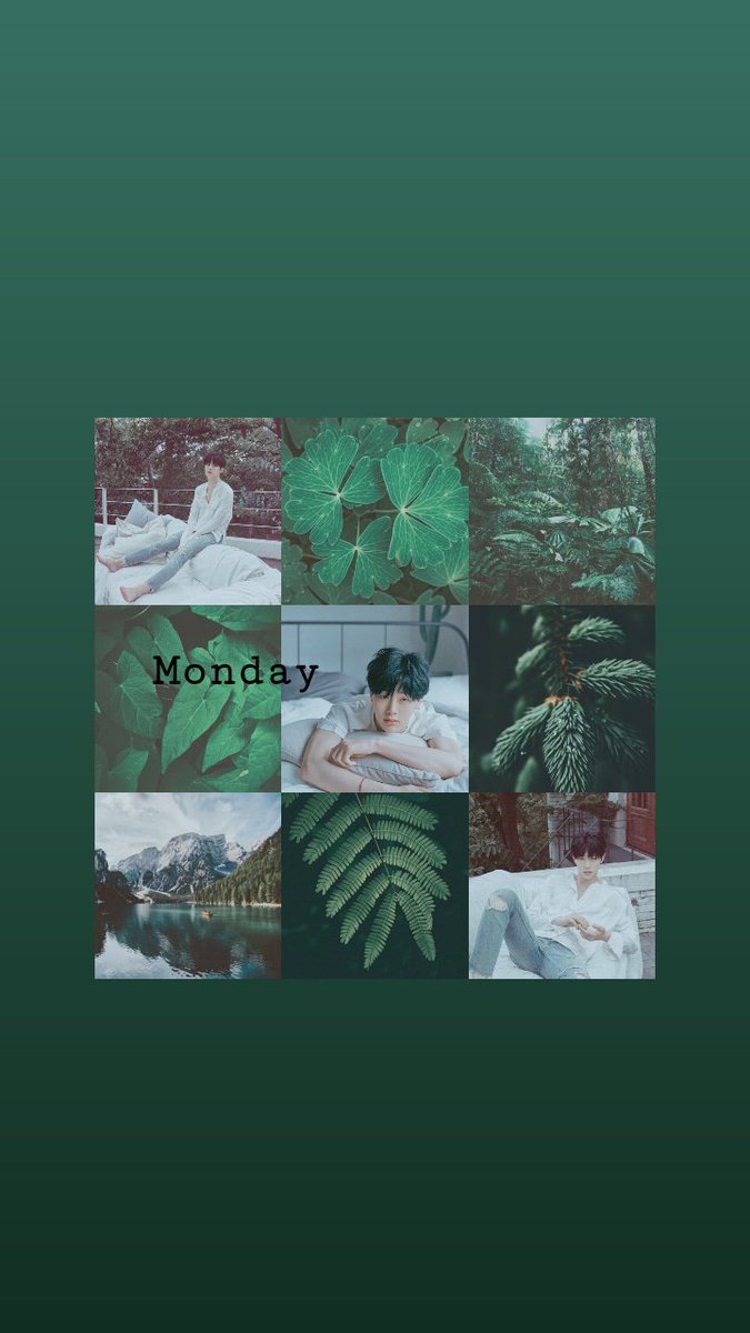 จนซ.❁✿*゚‘゚・🌻 tweet media