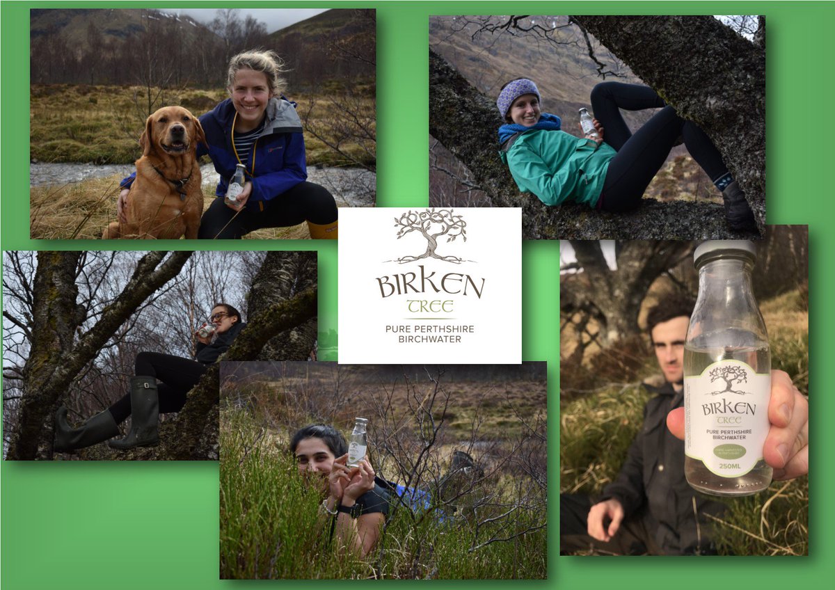 Birkentree (@birkentree) on Twitter photo Thanks to <a href="/matthay44/">Matt Hay</a> and gang for taking some of our Birchwater on their stravaiging in Glen Affric. We love your photos and glad you enjoyed the Birchwater. Thank you for your support @scotfooddrink <a href="/ScotlandTBP/">SCOTLAND: The Big Picture</a> <a href="/foodanddrinksco/">Scotsman food&drink</a> #birchpower #healthy #forests #Scotland #heritage Thanks to <a href="/matthay44/">Matt Hay</a> and gang for taking some of our Birchwater on their stravaiging in Glen Affric. We love your photos and glad you enjoyed the Birchwater. Thank you for your support @scotfooddrink <a href="/ScotlandTBP/">SCOTLAND: The Big Picture</a> <a href="/foodanddrinksco/">Scotsman food&drink</a> #birchpower #healthy #forests #Scotland #heritage
