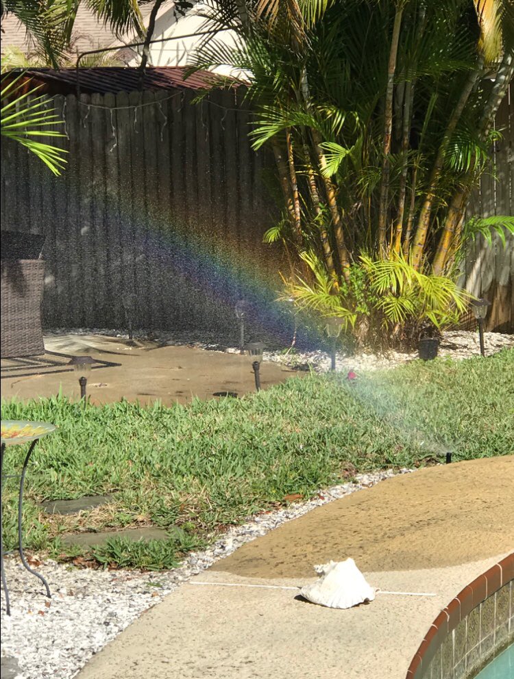 In memory of my answered prayer the morning after we laid my sweet lil Abby to rest. I asked God for a sign that she was ok while I bawled my eyes out. A couple hours later my hubby took a picture of this rainbow over her grave where the red rose is. I’ll never forget it. 🌈🌹❤️