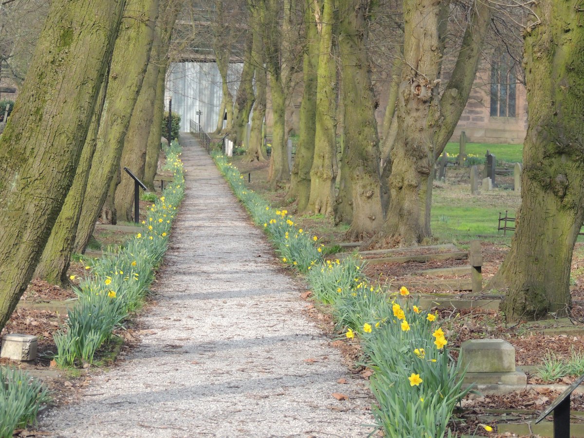 FriendsofFOPCC's tweet image. FOPCC have been busy in God's little acre today, restoring the old Cross Walk Path, and planting shrubs.  Delighted to say that the Daffodil Walk is blooming and will get better each week.  Well worth a visit to this ancient churchyard.