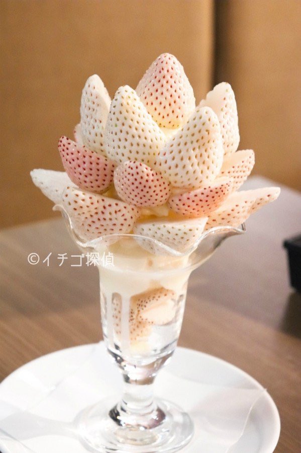 グルメライター野山苺摘 イチゴ探偵 吾妻茶寮 あその小雪 と 白い宝石 を使用した白いちごのパフェ 希少で高価な2種の白いちごの食べ比べが楽しめるとは贅沢 5種類のいちごが添えられた抹茶フォンデュも体験してきました 詳しくは