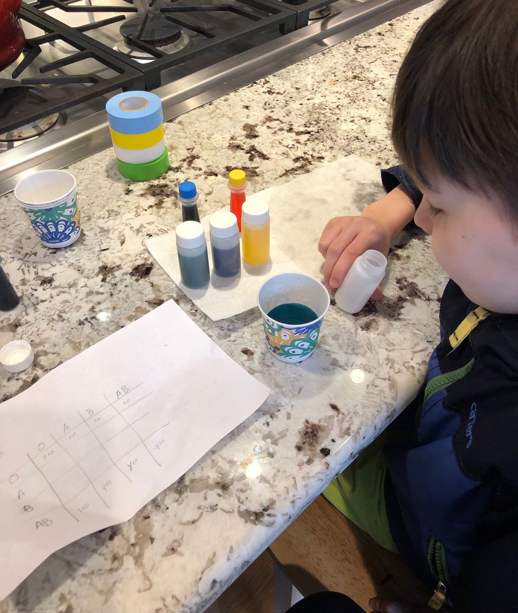 BMEHealthReach's tweet photo. What are you doing this weekend?? Iโm getting my 5 year old involved in new activity edits for blood types! What happens when you mix yellow (type A blood) in green (type AB blood)??? Can type AB get type A blood??๐คฉ #togetherweSTEM https://t.co/2oeZEnt45t