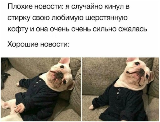 D0G21oxWsAAuJIu.jpg:large