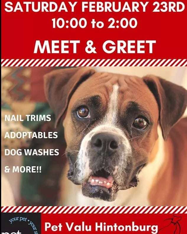 OttawaDogRescue's tweet photo. Happening Today!!!! We are here until 2pm. Come and meet Sherlock, Milo, Ti Loup, Robbie, Puff, Chrissen, Colby and Jewel.  There will be nail trims, dog washes and baked treats.... #adopt #adoptables #adoptabledog #adoptdontshop #dogsofinstagram #dogsfo… https://t.co/mvsCpWHclT https://t.co/FHERI0Kw2f