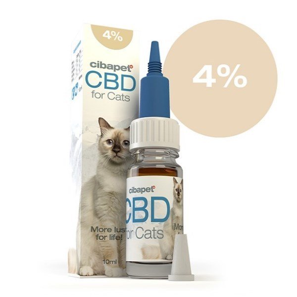 vitamed_gr's tweet photo. Cibapet CBD Oil 4% for cats x 10ml (400mg) https://t.co/B61EcDuk1V https://t.co/dLWzJK4mR3