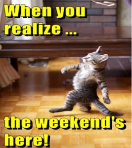 BestOfferZone1's tweet photo. Why is Monday so far away from Friday and Friday so bloody close to Monday?
#WeekendFact
#BestOfferZone https://t.co/zxfjh3Bo39