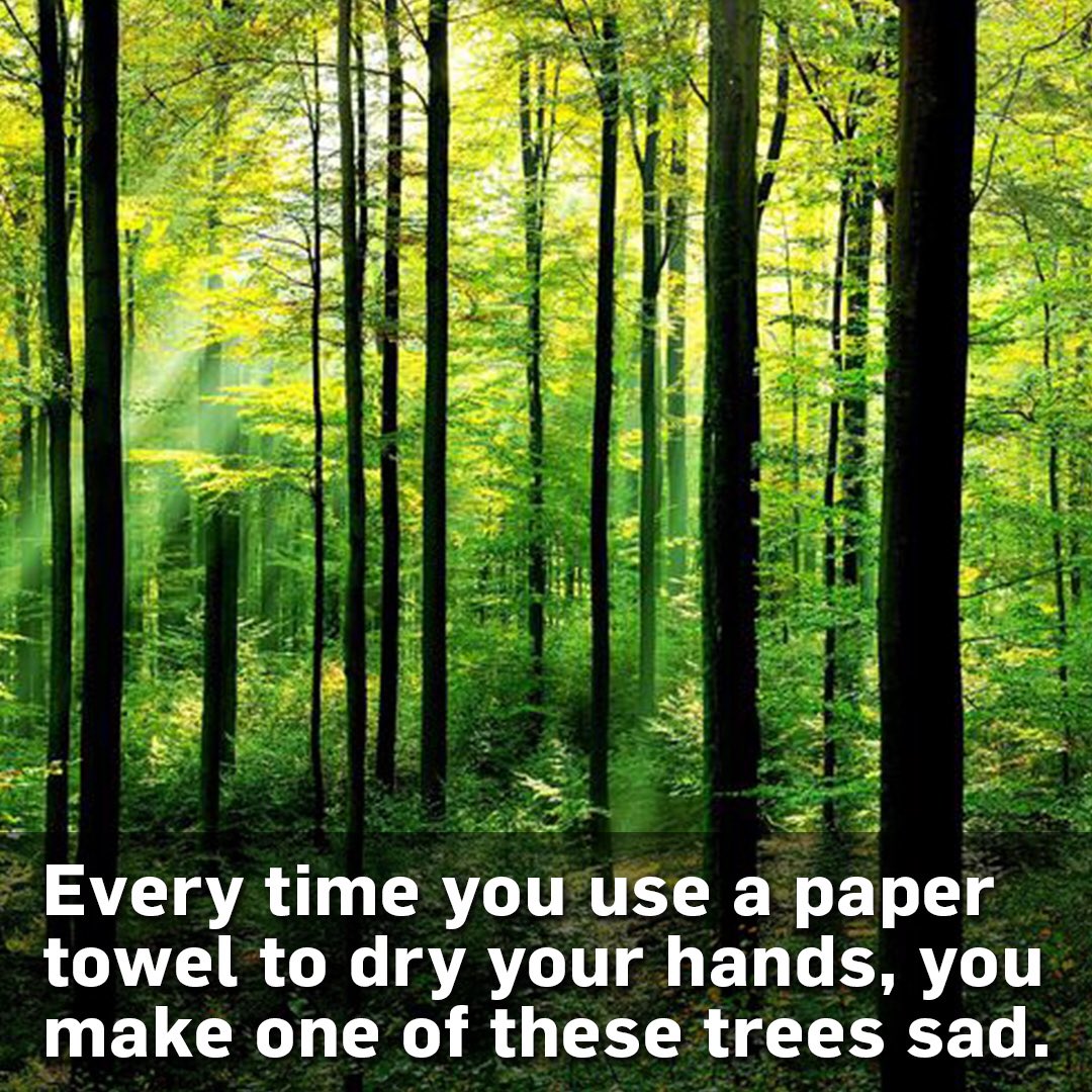 Stop making trees sad. There are better ways to dry your hands than using #papertowels #savetrees #ClimateChange #CO2