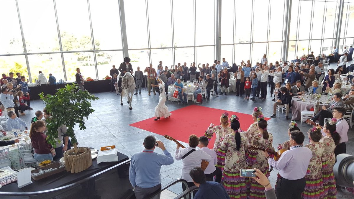Fibes Sevilla tweet media