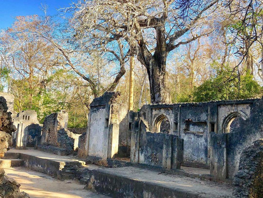 MalindiTours's tweet photo. #RuinsofGedi
#MalindiKenya
#MalindiToursandTravel https://t.co/HXZIY4fvho