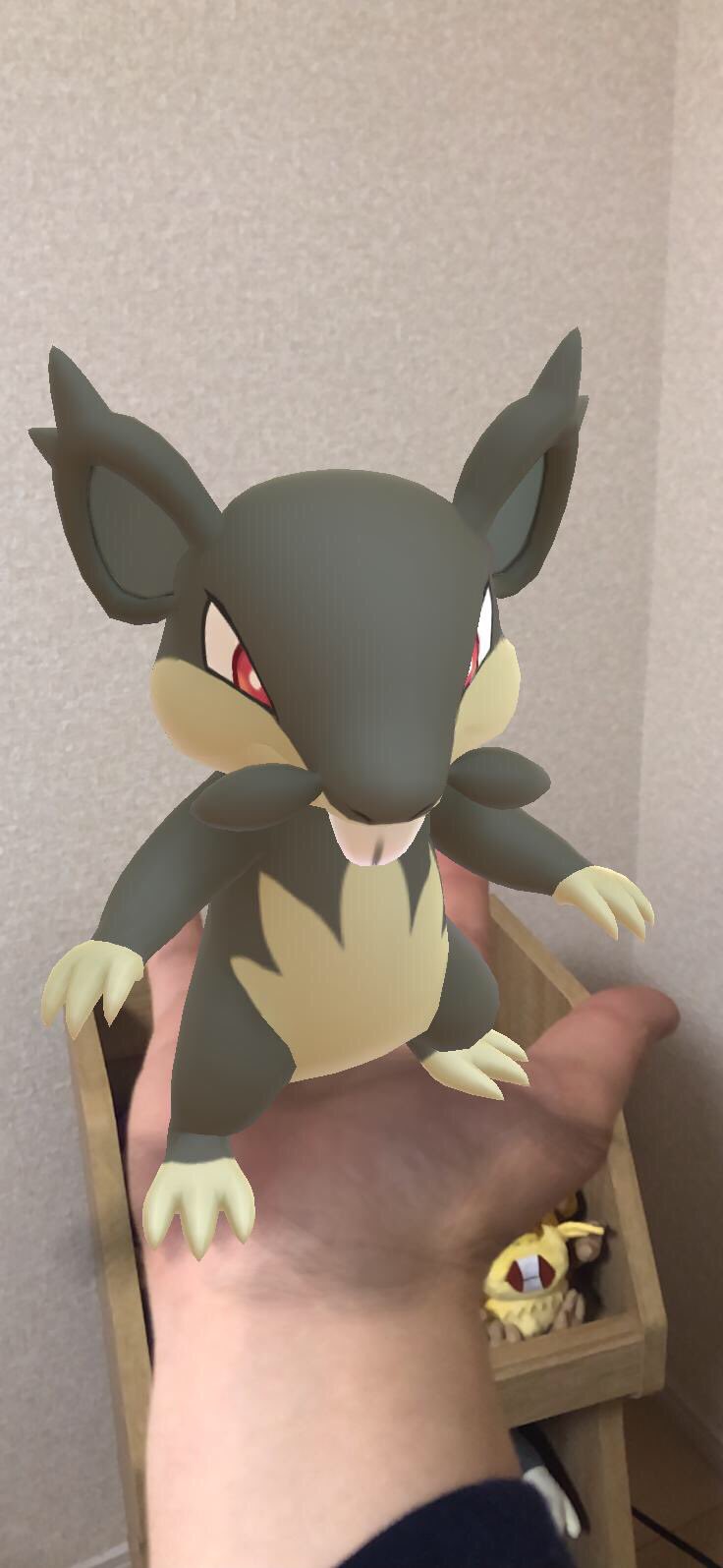 Twitter 上的 幸 さち 手乗りコラッタ アローラコラッタ ポケモンgo コラッタ T Co Miqnivttxo Twitter