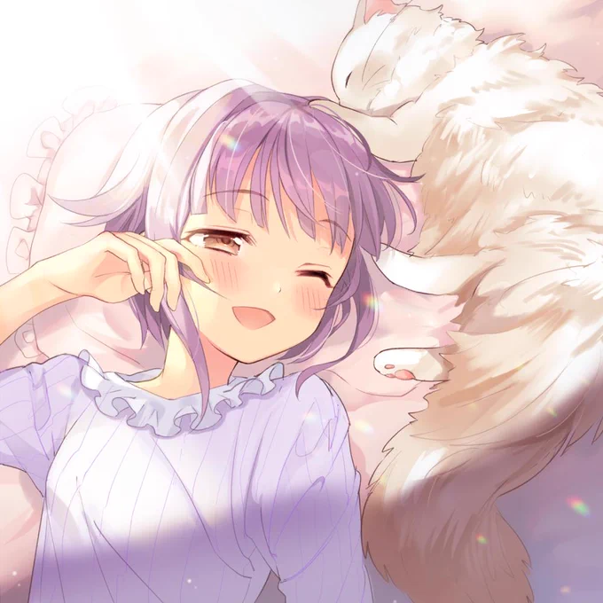 猫と幸子 