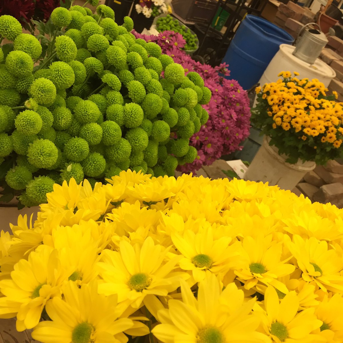 Green Industries students at Glenview Park Secondary School <a href="/gpsstech/">GPSS Tech</a> love being part of <a href="/ON_EcoSchools/">We've moved!</a> as they prepare Valentines bouquets for staff and student from locally grown <a href="/PickOntario/">pickOntario</a> flowers and pussy willow. <a href="/gpsscares/">Glenviewcares</a>  #SustainableAgriculture #Love4EcoSchools