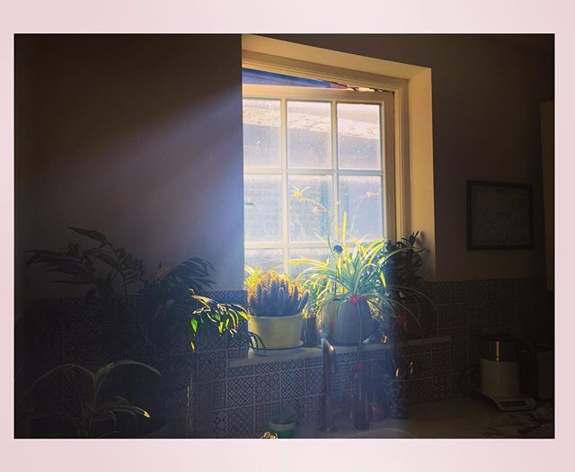 ArchieMacLDN's tweet image. WARNING! Incredibly boring Instagram post approaching. Who’s got any tips for eco friendly oven cleaning solutions to get the grime off the oven light?! World’s most smoky oven + world’s most sensitive smoke alarms is making for some on edge cooking moments... Check back soo…