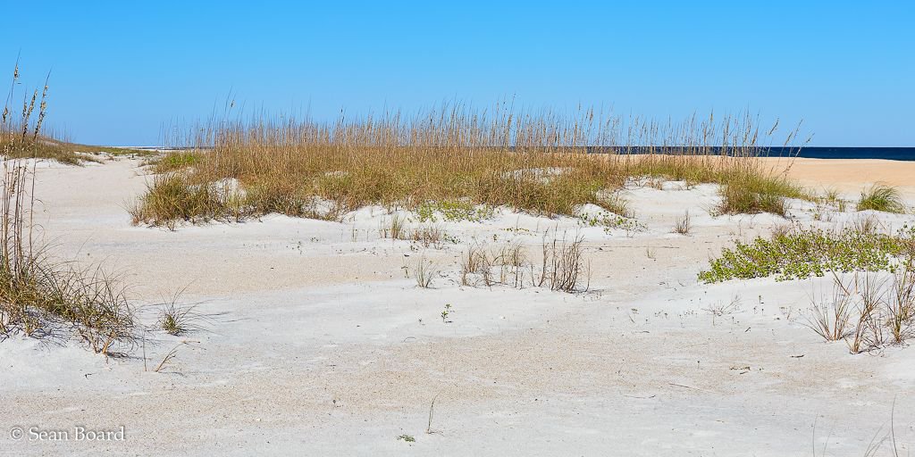 SeanBoard90's tweet photo. Here is a scenic view of sand dunes and vegetation along the beach near St. Augustine, #Florida.  This scene was photographed during a winter afternoon  in Anastasia State Park.
#staugustine https://t.co/qkue4gTDHB