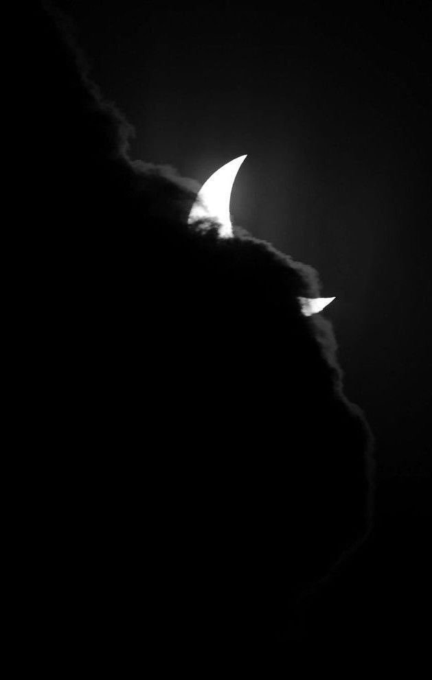 pictures (@pictures) on Twitter photo 