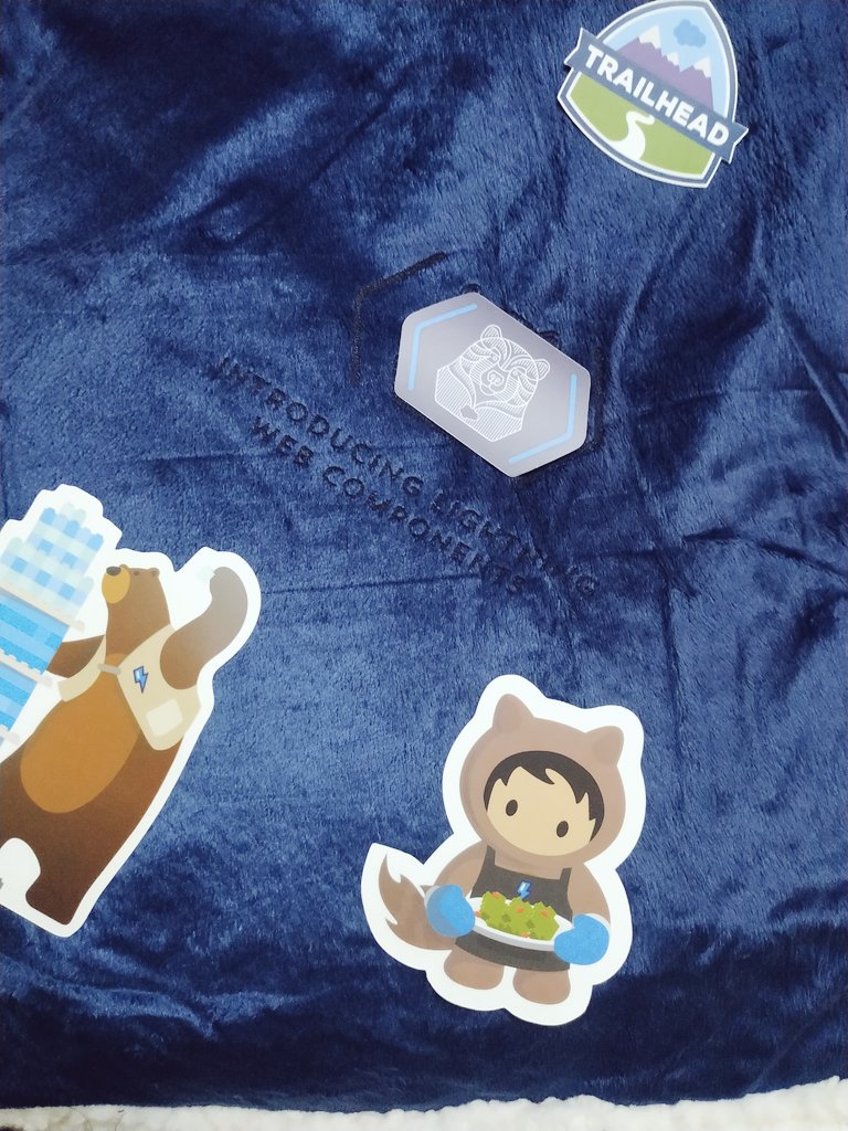 Had a great time learning #Lightningwebcomponent with @jerrysfdc @satyasekharcvb at @SDGChennai 
And, thanks for these amazing #SalesforceSwag 😍
@trailhead @ChennaiWIT @SalesforceOhana #SalesforceSaturday #TrailblazerCommunity #ChennaiWIT #SalesforceOhana #CodeGoals