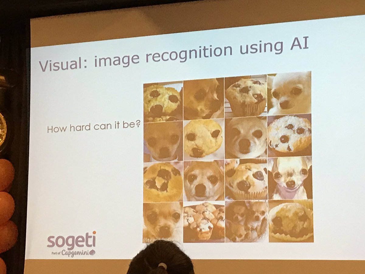 marcinlesek's tweet image. How hard #VisualRecognition by #ArtificalIntelligence could be? 🐶 #TestFest