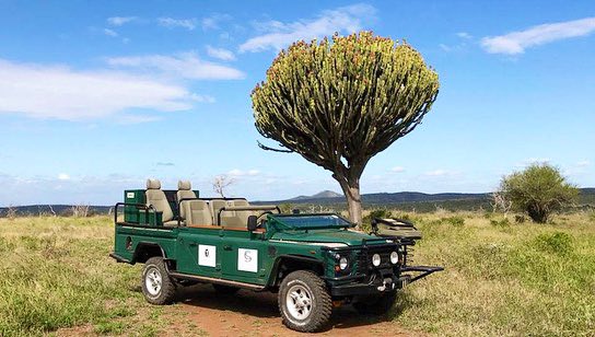 Dawn Jorgensen | The Incidental Tourist tweet media