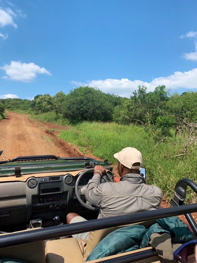 Dawn Jorgensen | The Incidental Tourist tweet media