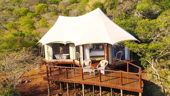 Dawn Jorgensen | The Incidental Tourist tweet media