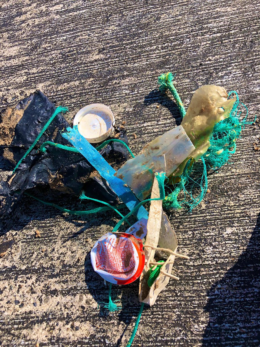 AnaisPorcheret's tweet image. Ballade ensoleillée ☀️ à marée basse entre les plages 🌊  #milady et #côtedesbasques de @Ville2Biarritz. On en profite pour ramasser au passage les déchets échoués ♻️. Cc la #waterfamily du @floconalavague #EtToiTuFaisQuoi #tri #environment #biarritz #SaturdayMotivation #oceans
