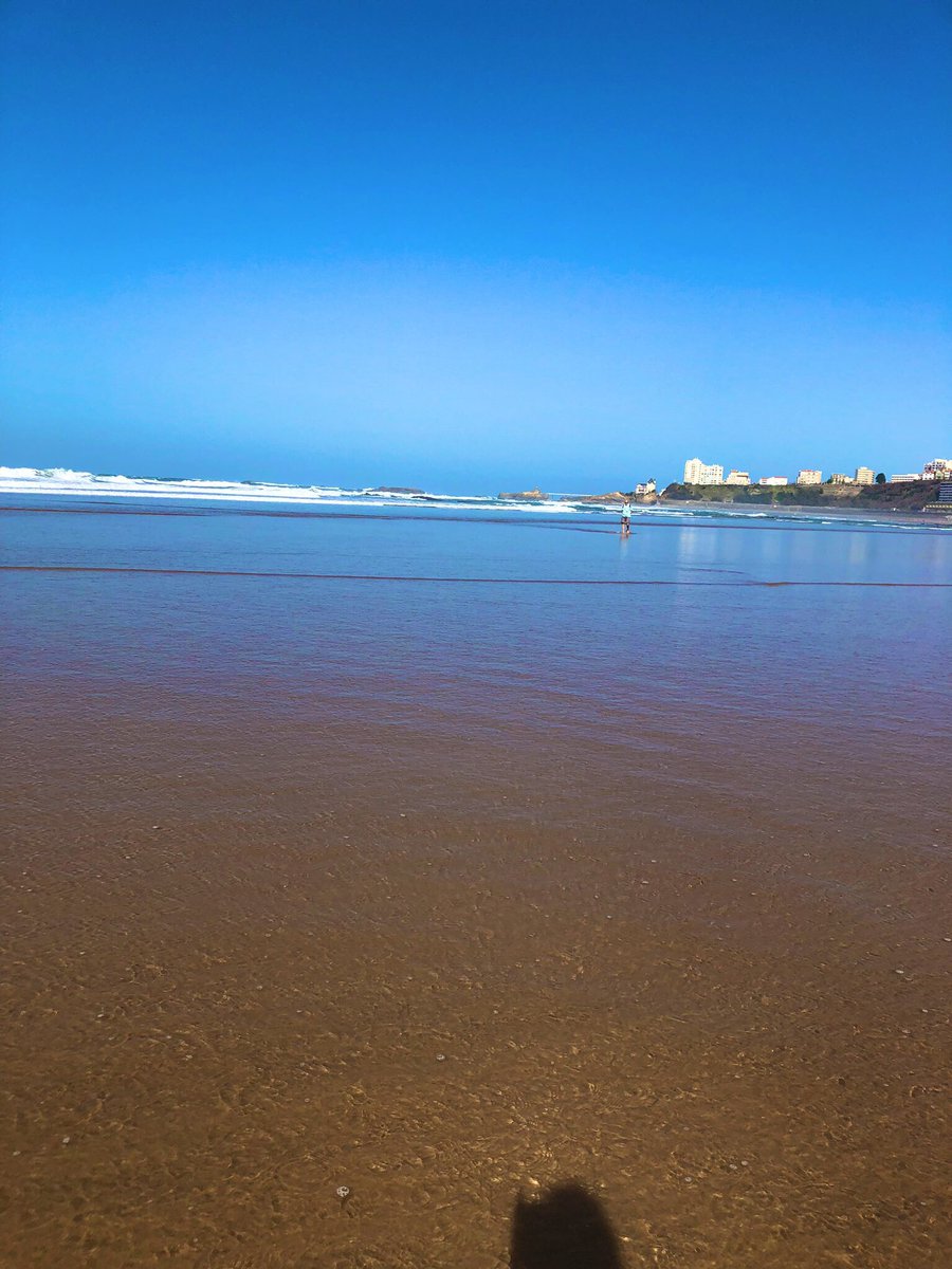 AnaisPorcheret's tweet image. Ballade ensoleillée ☀️ à marée basse entre les plages 🌊  #milady et #côtedesbasques de @Ville2Biarritz. On en profite pour ramasser au passage les déchets échoués ♻️. Cc la #waterfamily du @floconalavague #EtToiTuFaisQuoi #tri #environment #biarritz #SaturdayMotivation #oceans