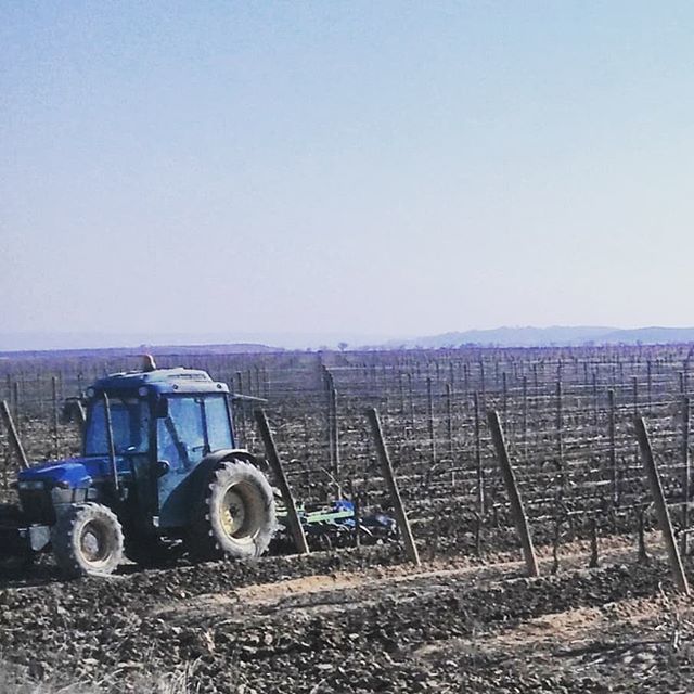 °
Mañanas heladoras. Pero el trabajo en las viñas no se termina.
°
#fotografia  #photografy  #wine  #winepassion  #winerylovers  #wineinsta  #winephotography  #vinosderioja  #viñedo  #vinos #vino #foto #fotoviña #photowine  #wine #winelovers🍷  #winew… ift.tt/2H1lMAz