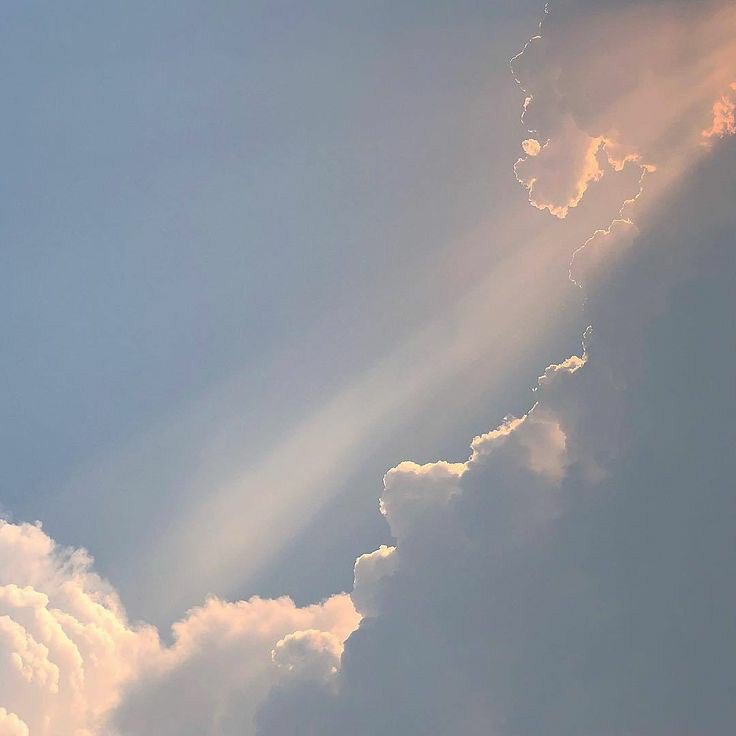 ᴍɪɴʀᴀʏᴀ☁️ tweet media