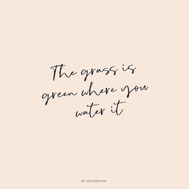 MindfulAngie's tweet photo. What are you watering in your life? #mindfullyaware #Mindfulness #personalgrowth https://t.co/kYATkmus0W