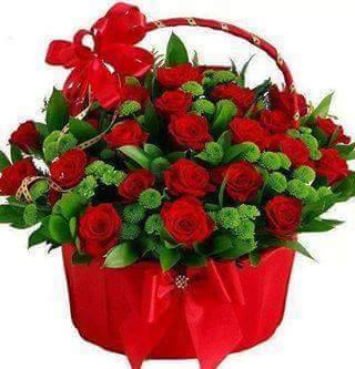 🌹🌹🌹 What are you thinking now, get started and change your life- 🌹🌹🌹🌹
  💥 Visit - perdaycash.net/PJrPSdi
 💥 Visit - perdaycash.net/ref/sanjeev1971
  💥 Call 👉... +917839115903 , +91919889651220