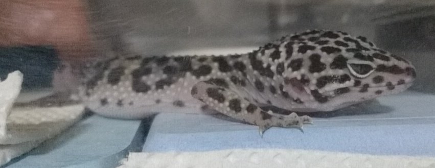 ノクタ@完全趣味垢 on X