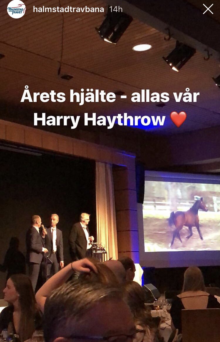 BennoKarlsson's tweet photo. Harry uppmärksammades på Halmstadtravets rekordfest igår. Stort tack för en härlig kväll! #halmstadtravet #harryhaythrow https://t.co/Quo80EHs7F