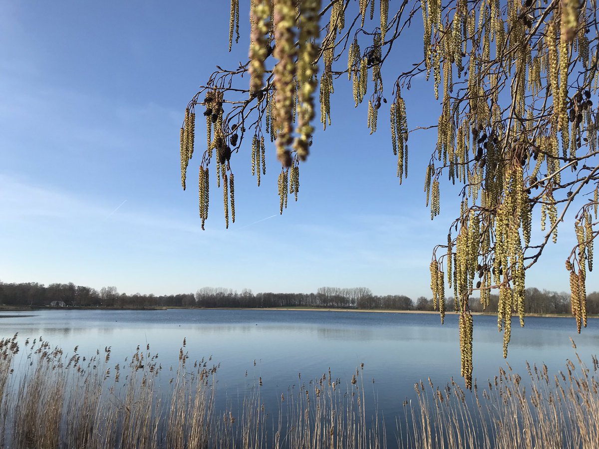 Bussloo strand op loopafstand van onze Kampeerhoeve Bussloo. We lopen er zelf dagelijks en we verwonderen ons ook nog steeds dagelijks. Hoe fijn is dat 😁🍀 #bussloo  #nature  #wandelen #wandelcoaching #voorst #camping #kamperen #vekabo #acsi kampeerhoevebussloo.nl