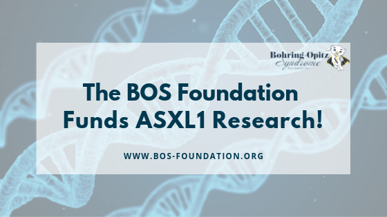 BOS Foundation Funds Research! - mailchi.mp/a629c1c92be6/b…