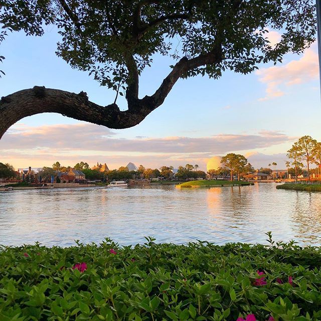 DisneyfiedAsh's tweet photo. Stay beautiful, Epcot. 🌐🌸🌳🚤 #wehaveepcot #worldshowcase #spaceshipearth https://t.co/n48JKaTHRW https://t.co/AN6d2F1ZSV