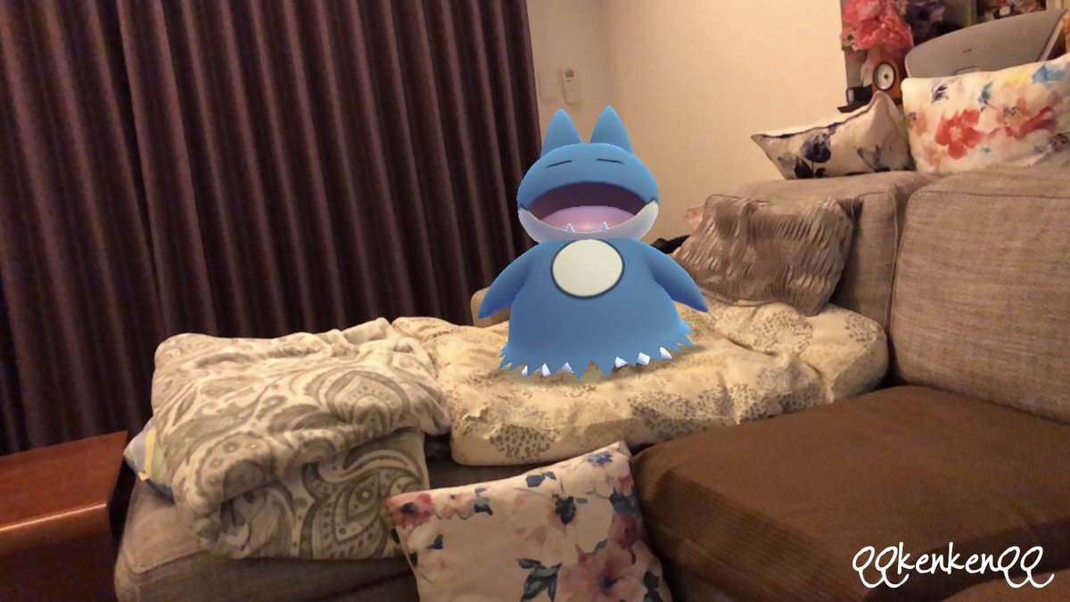 Kenken ゴンベ癒し ゴンベ Munchlax Pokemongo ポケモンgo ポケモンgo写真 ポケモンgoar写真 ポケットモンスター ポケモン Pokemon Niantic Gamefreak Pokemongoar Gosnapshot Pokemongoarplus Gosnapshot Gamewitharフォトコンテスト