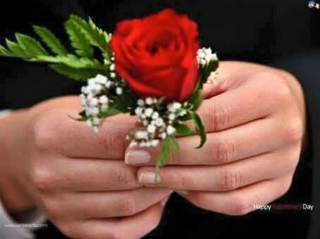 🌹🌹🌹 What are you thinking now, get started and change your life- 🌹🌹🌹🌹

💥 Visit - perdaycash.net/PJrPSdi
💥 Visit - perdaycash.net/ref/sanjeev1971