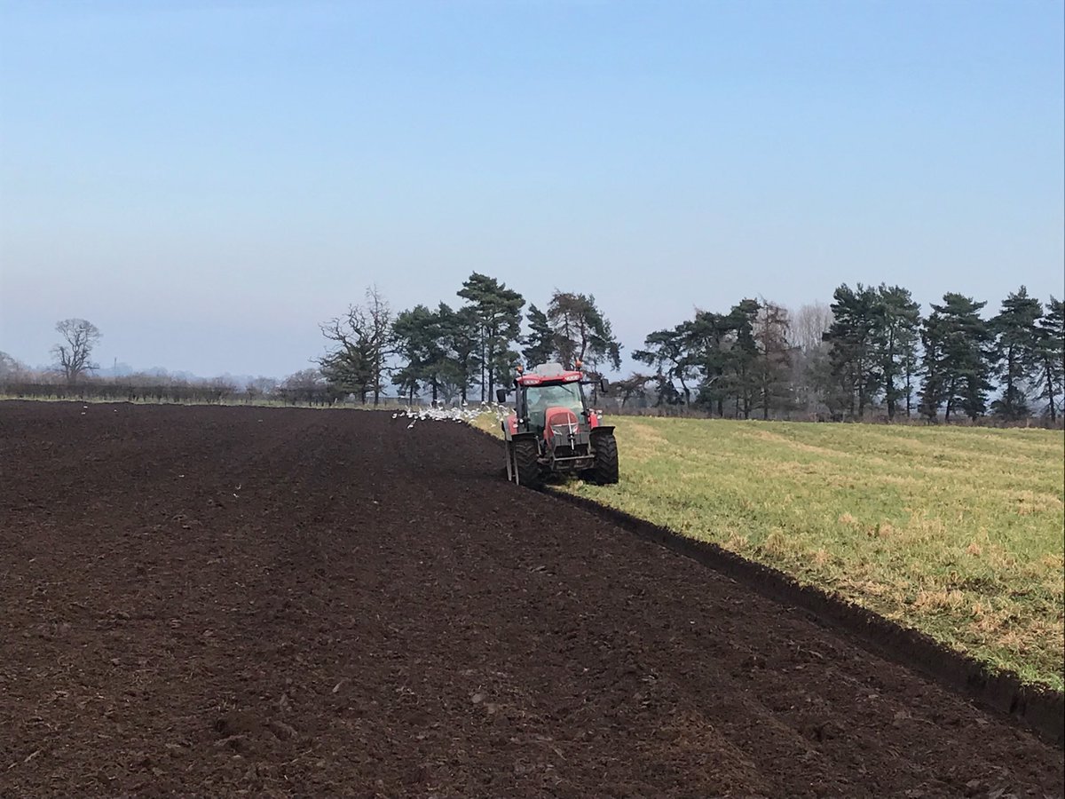 All go, spring is in the air!