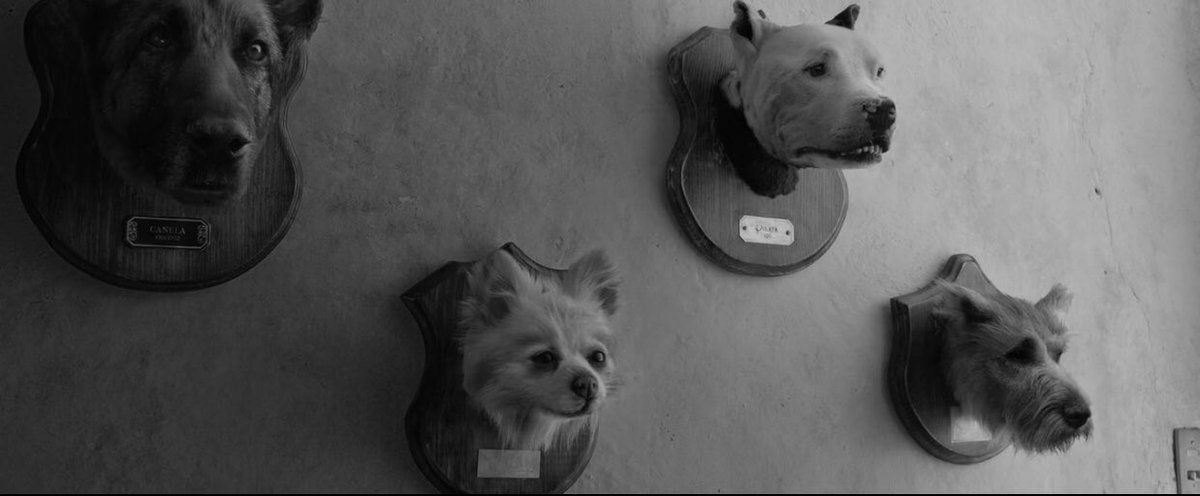 _worldofcinema's tweet photo. “we are alone. no matter what they tell you, we women are always alone.”

Roma (alfonso cuarón, 2018) https://t.co/rheRv3E7p6