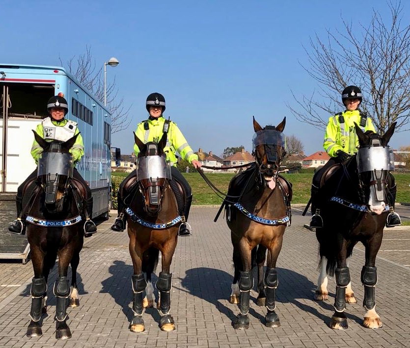 ASPoliceHorses tweet media