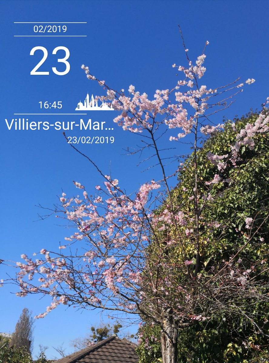 TeamMassot94's tweet photo. Le printemps pointe le bout de ses couleurs ce dernier week-end de février. De belles promenades à toutes et tous mais aussi de belles vacances à #villierssurmarne ou ailleurs. https://t.co/sBmQvExdol