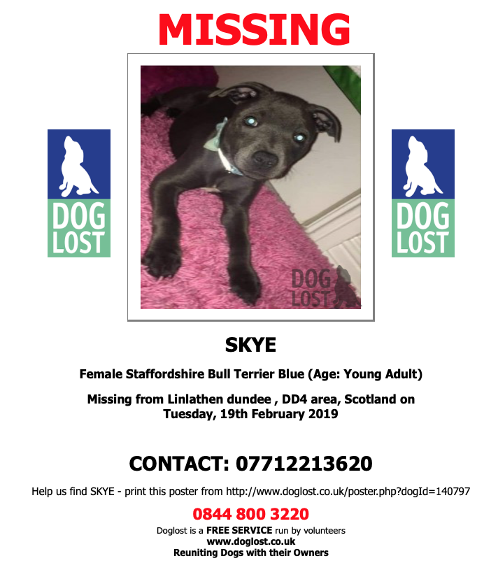 DogLostUK's tweet photo. https://t.co/jt1sXwNKjV
#LOST #DOG SKYE
Female #StaffordshireBullTerrier #Linlathen #Dundee #DD4
Tuesday, 19th February 2019 #LostDog #ScanMe https://t.co/VqiV6vxwjc @VetsGetScanning @SAMPAuk_ https://t.co/3yNntITwsT