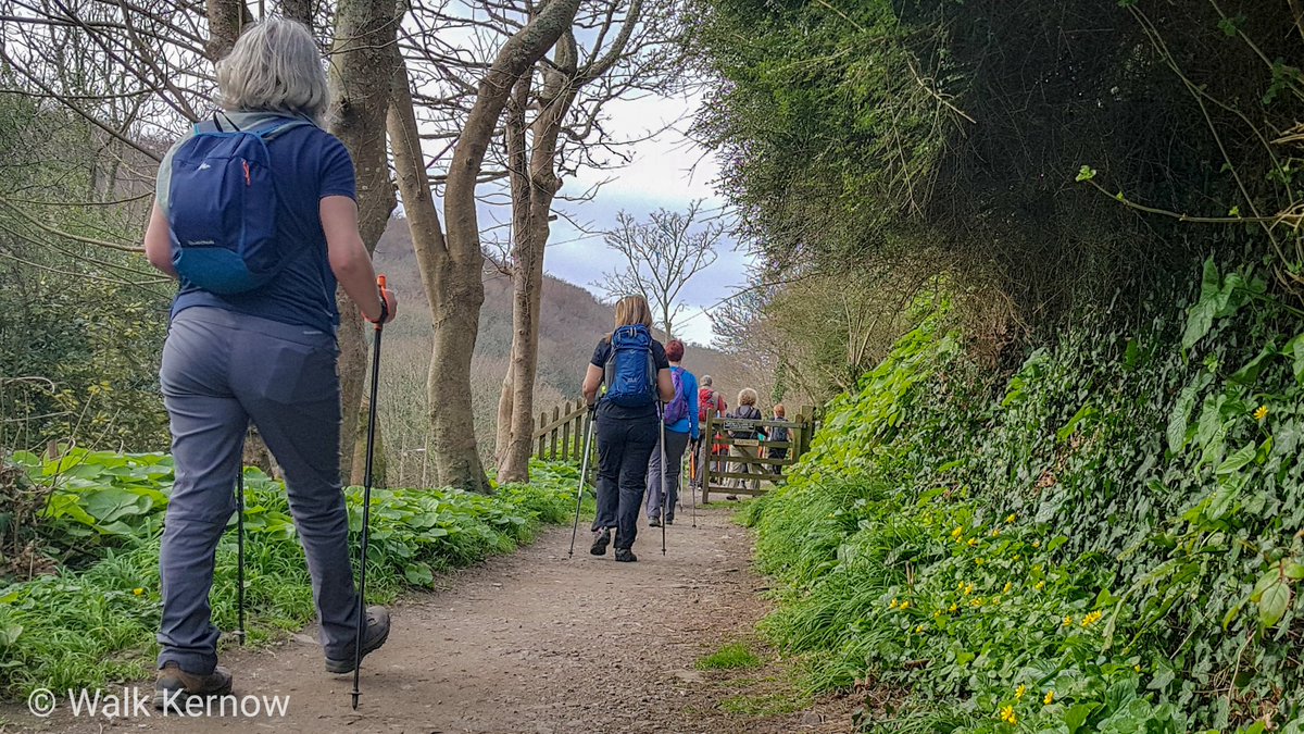 Walkkernow's tweet photo. What a lovely day Nordic Walking in the spring sunshine. Starting at Devoran and finishing in Portreath Nordic Walking from the South to North Coast. Well done to everyone who joined us!
#nordicwalking #Cornwall #walkinggroup #myexelpoles #lovewhereyoulive #BritNW #miningtrail https://t.co/KuPtDEnKtj
