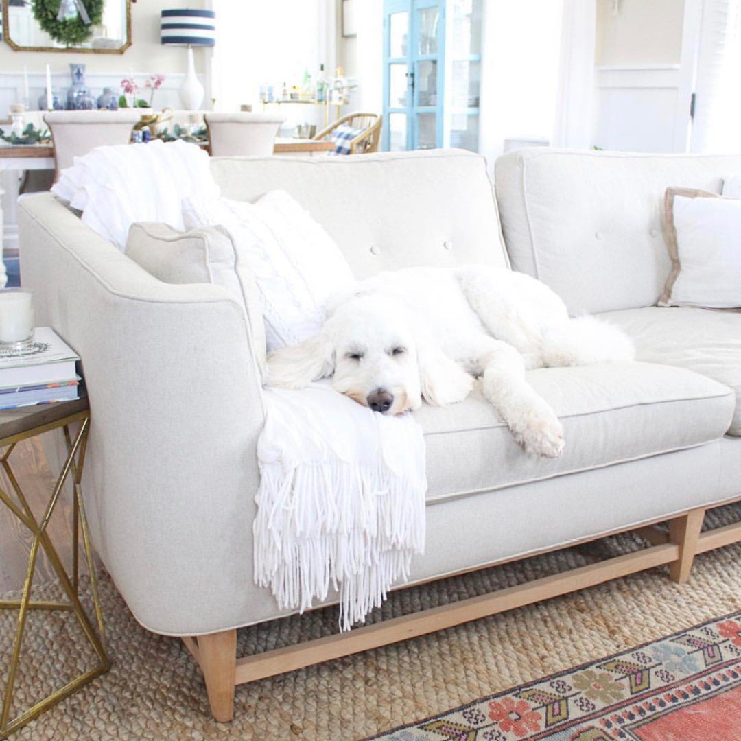 NadeauNational's tweet photo. #TFW Your pet parent has great taste in dogs AND furniture...all is right with the world. #restingeasy #dogsofinstagram #furniturewithasoul 
📷 (IG): @Thehomeremedy Product: Cabinet https://t.co/1zuRrrH31b