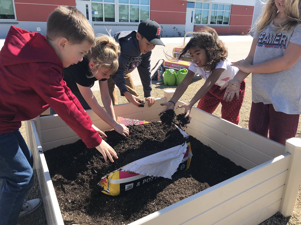 thatamygurl's tweet photo. My final #projectzerowaste #schoolgarden for the year. These second graders will be practicing with this mini garden until their big garden gets installed next year #insidetheoutdoors https://t.co/uSC8FrXTyh