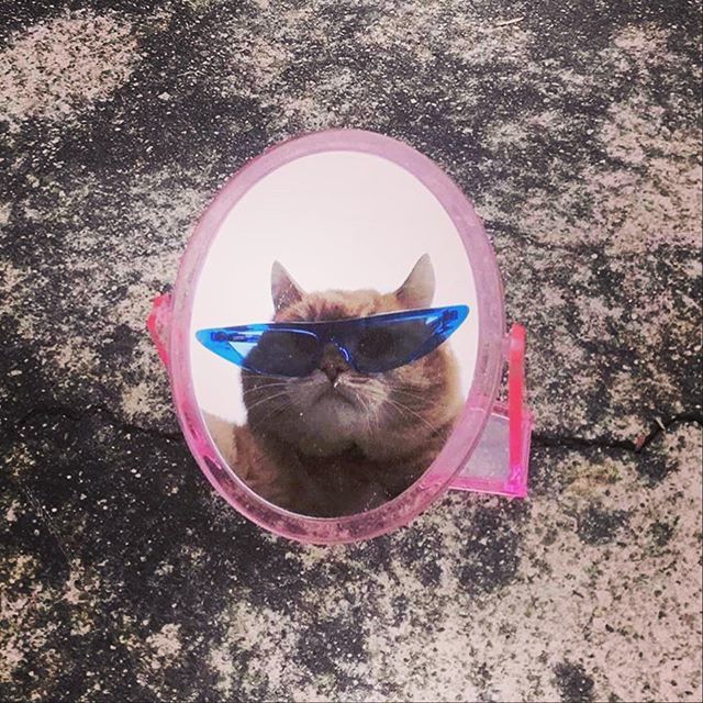 caandorlabs's tweet photo. feeling cute won’t delete later #staywerid .
.
.
.
#weekendvibes #create #atyolk #acreativedc #explore #bythings #eatonworkshop #madeindc #202creates #storyboard #bythings #animation #design #exposeddc #immersive #art #podcast #podcasting #videomarketing… https://t.co/FxDtFiMkZ7 https://t.co/wowdPEwqXx