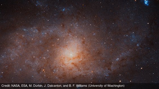apod's tweet photo. [RPT] The Stars of the Triangulum Galaxy: https://t.co/sXPXBa0vOF by @NASA, ESA, M. Durbin, J. Dalcanton, and B. F. Williams (University of Washington) https://t.co/6VIAqgrzc9